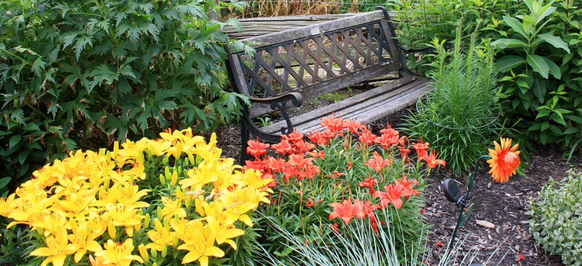 A Quiet Sanctuary to Relax and Rejuvenate