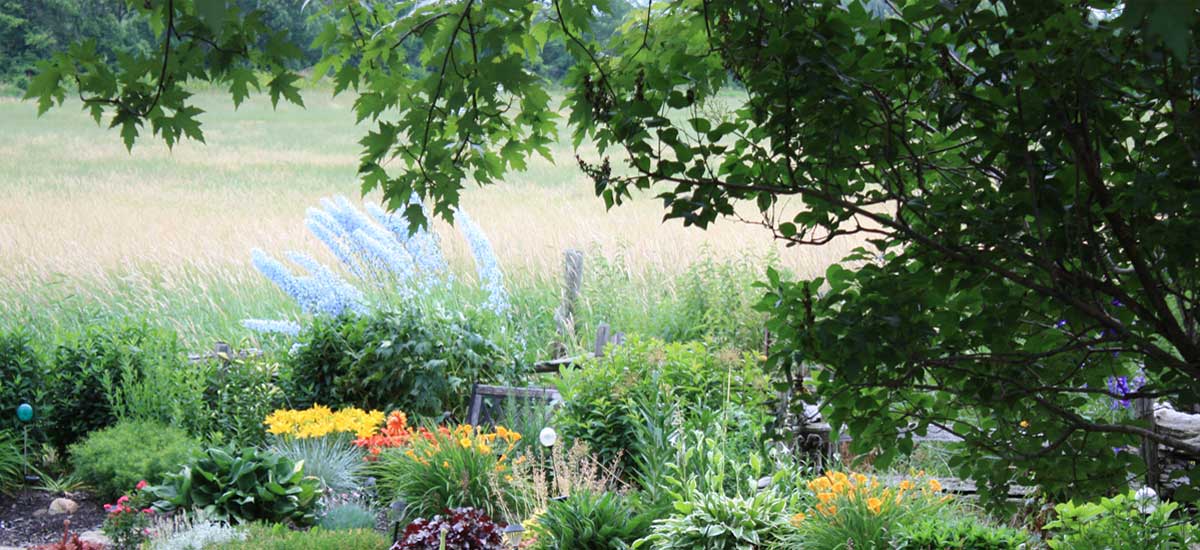 Country Gardens to Welcome your Visit